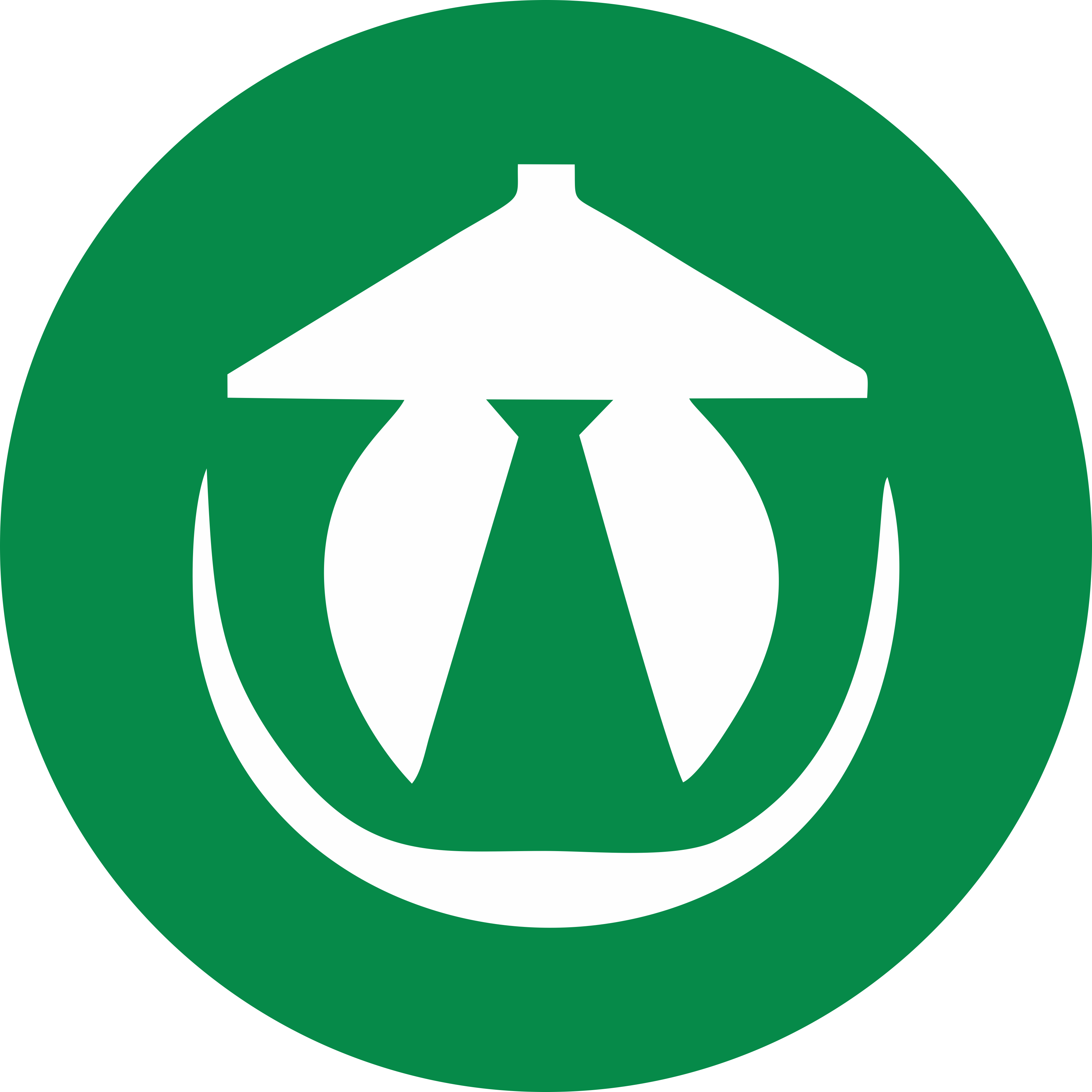 RS Trustmedis Logo